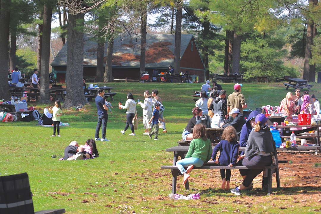 Photo Picnic in park