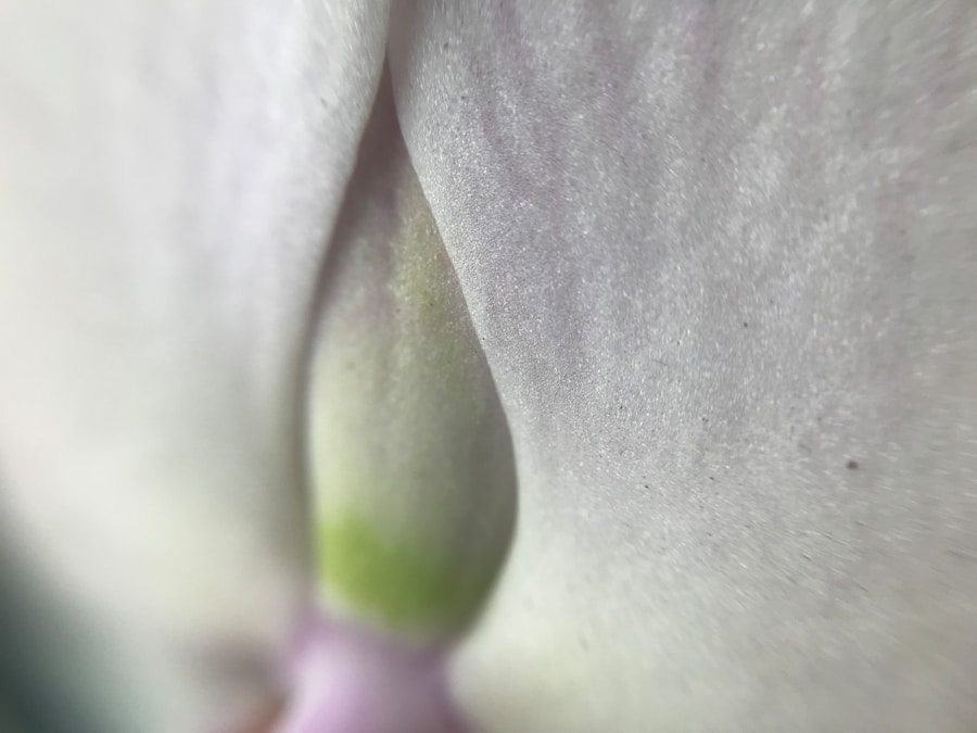 Photo "Nipple orgasm techniques"